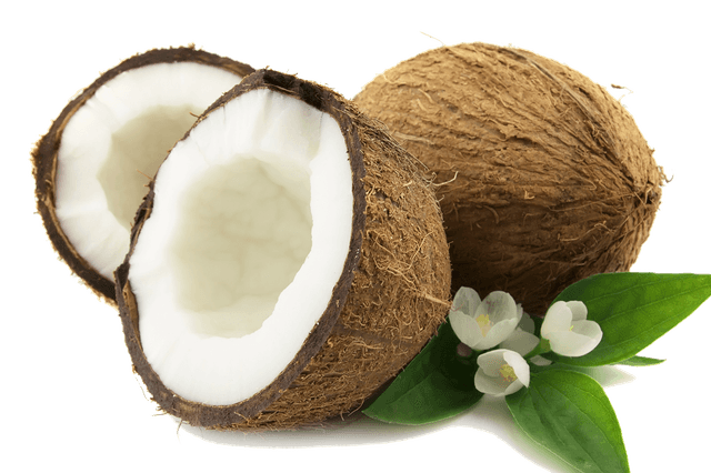Coconut