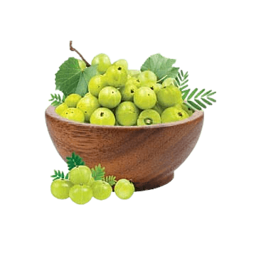 Amla